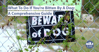 Image for What to Do If You’re Bitten by a Dog: A Comprehensive Guide post